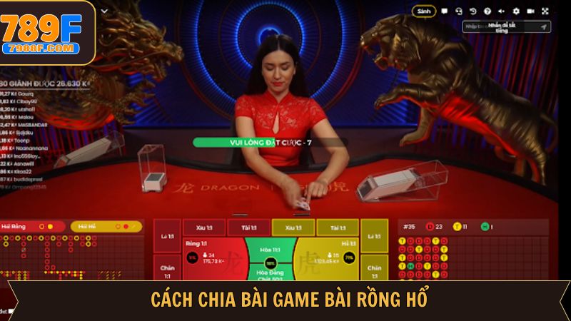 Khám phá cách chia bài trong rồng hổ