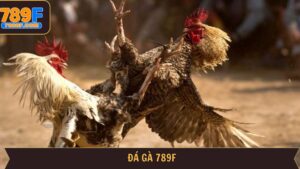 789f đá gà