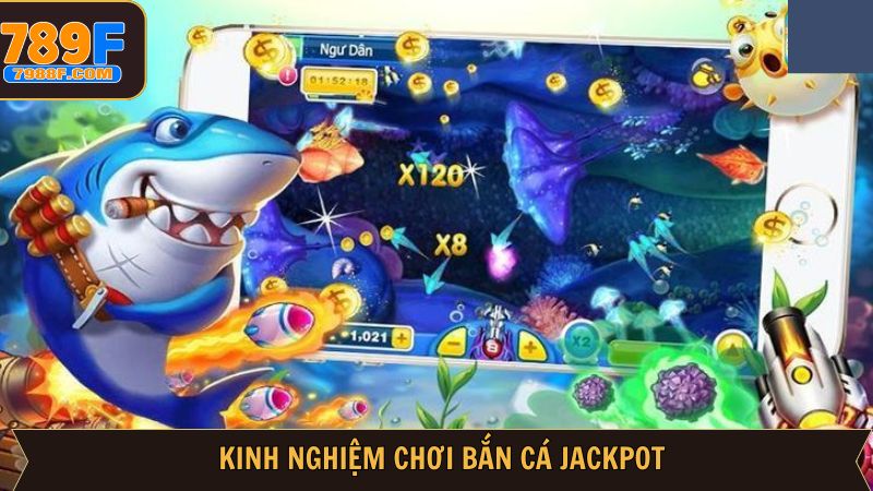 Những bí quyết săn cá đỉnh cao đến từ các chuyên gia