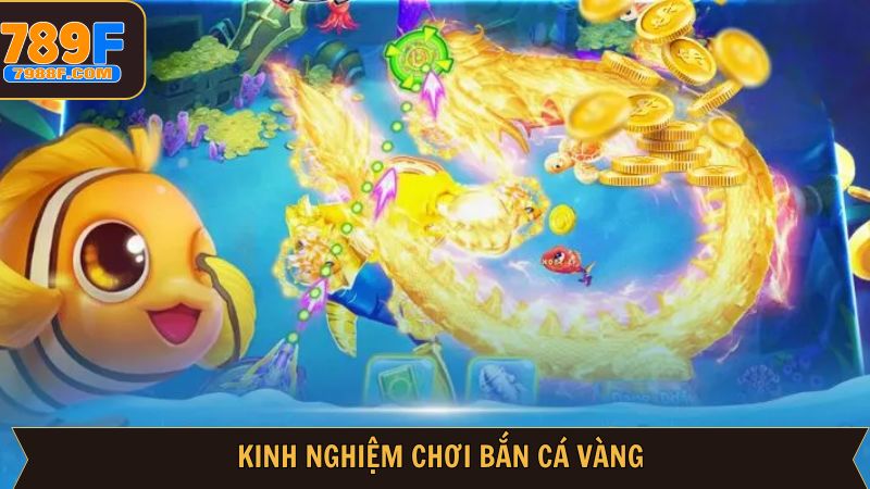 Chiến thuật săn ngư bất bại được cao thủ chia sẻ