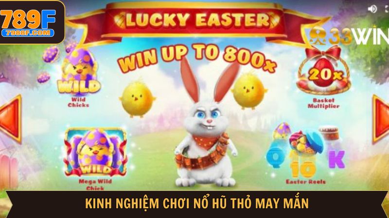 Chiến lược thắng đậm trong thỏ may mắn